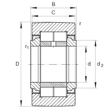 FAG Rolos de apoio - NUTR45100