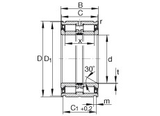 FAG Zylinderrollenlager - SL045006-PP