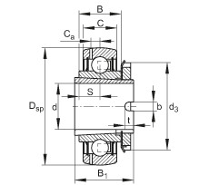 FAG Mancal tensor - GSH45-XL-2RSR-B