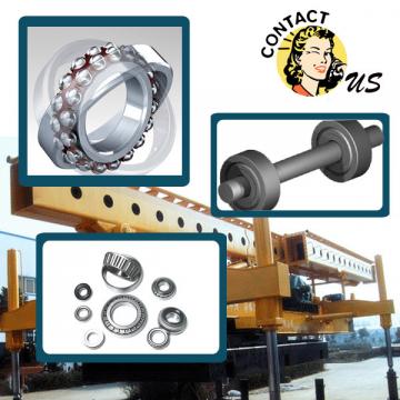 Bearing NNC4896V