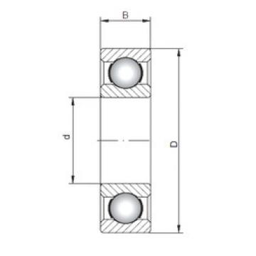 Bantalan 619/630 CX