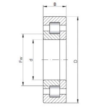 Rolando NUP2328 E CX