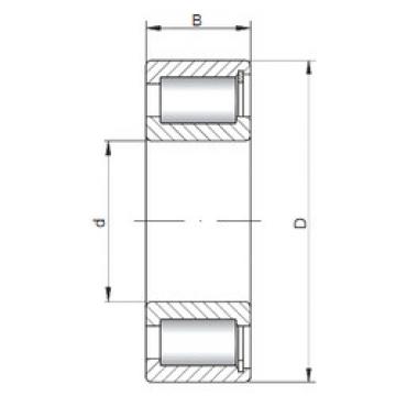 Bantalan NCF1840 V ISO