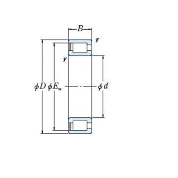 Bearing NCF18/560V