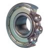 NSK 6012ZZC3 distributors Single Row Ball Bearings