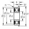 Bantalan F696H-2RS AST