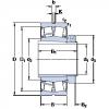 Rodamientos BS2-2226-2CS5K/VT143 + H 2326 L SKF