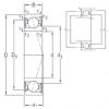 roulements VEB 100 /S/NS 7CE1 SNFA