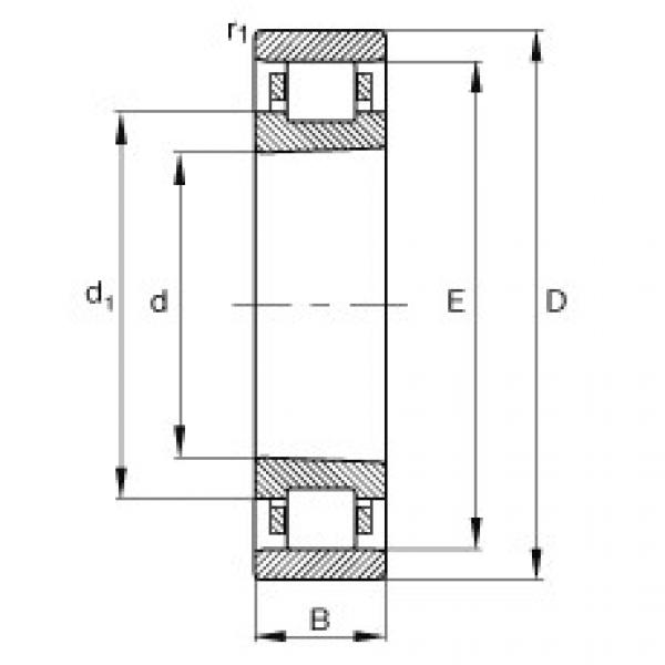 FAG Zylinderrollenlager - N1006-K-M1-SP #1 image