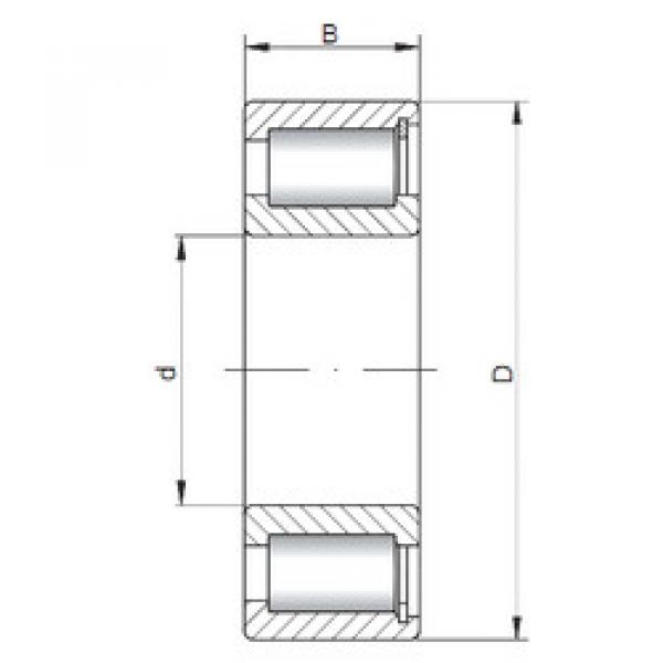 Bantalan NCF1848 V CX #1 image